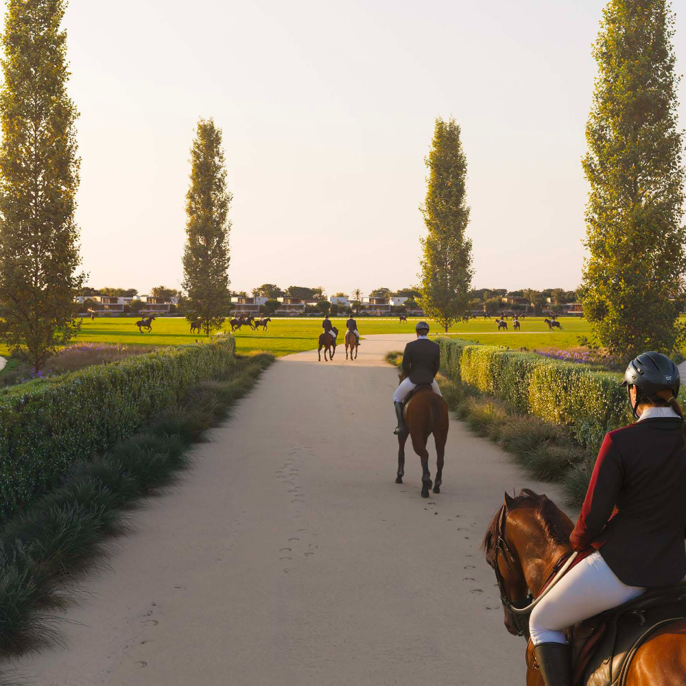 GRAND_POLO_LAUNCH_PRESENTATION_Page_32_Image_0001