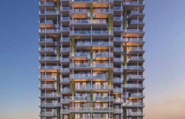 YARD EN_Page_21_Image_0001